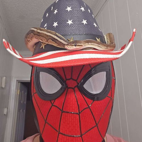 Kingly profile picture